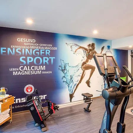 ホテル Ibis Styles 2*